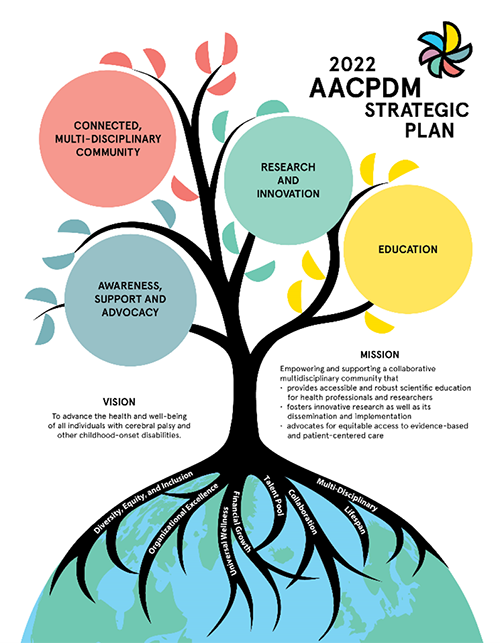 AACPDM strategic plan